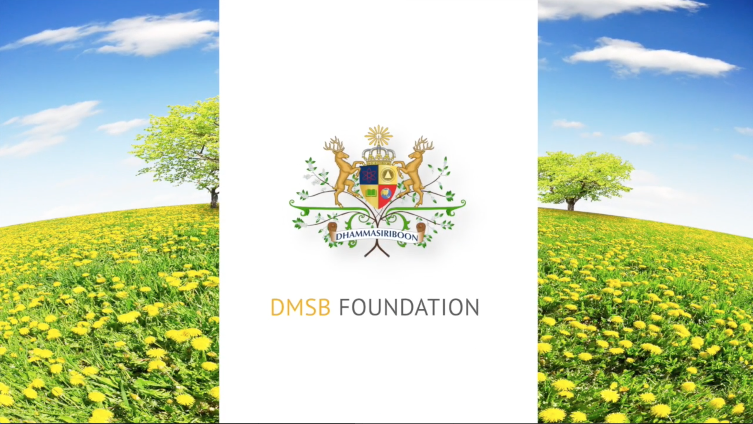 DMSB Profile